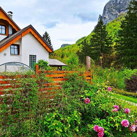 Ingreen House Бохинийска Бела Екстериор снимка